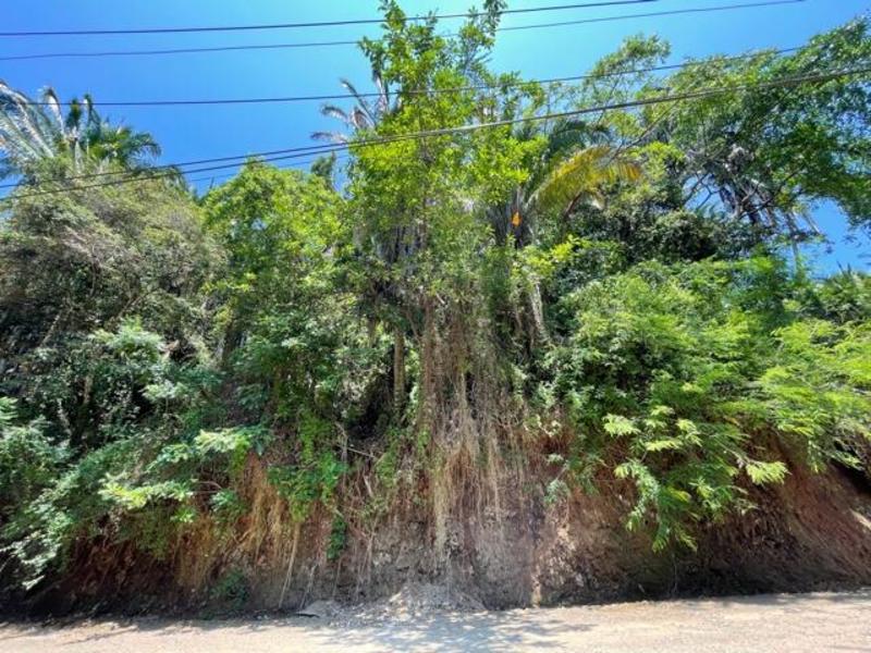 S/N Av. Las Palmas, Jungle Fraction G, Riviera Nayarit, Na