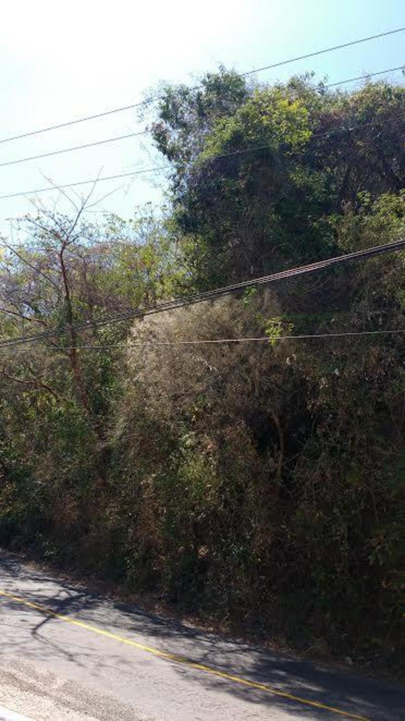 S/N Carr. So.Km16 Boca De Tomatlan, Lot Agustin, Puerto Vallarta, Ja