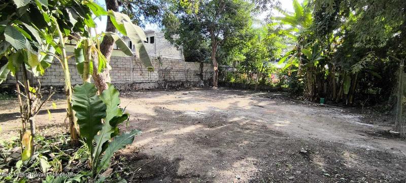 20260128182518163639000000 o