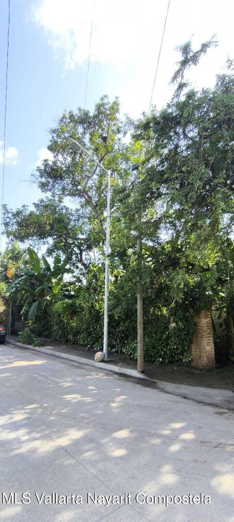 20260128182528483432000000 o