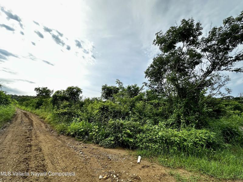 20250826154229583327000000 o