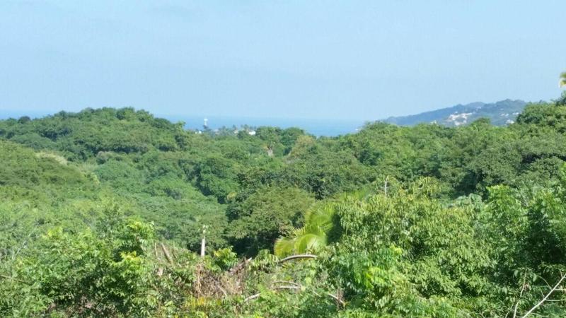 S/N Unnamed Road, Selva Vista, Riviera Nayarit, Na