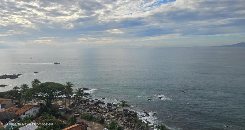 20260217003840224209000000 o