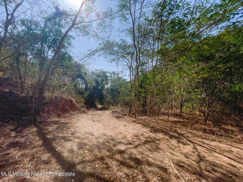 20250925014722179036000000 o