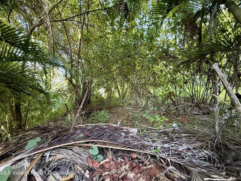 20251223220933724400000000 o