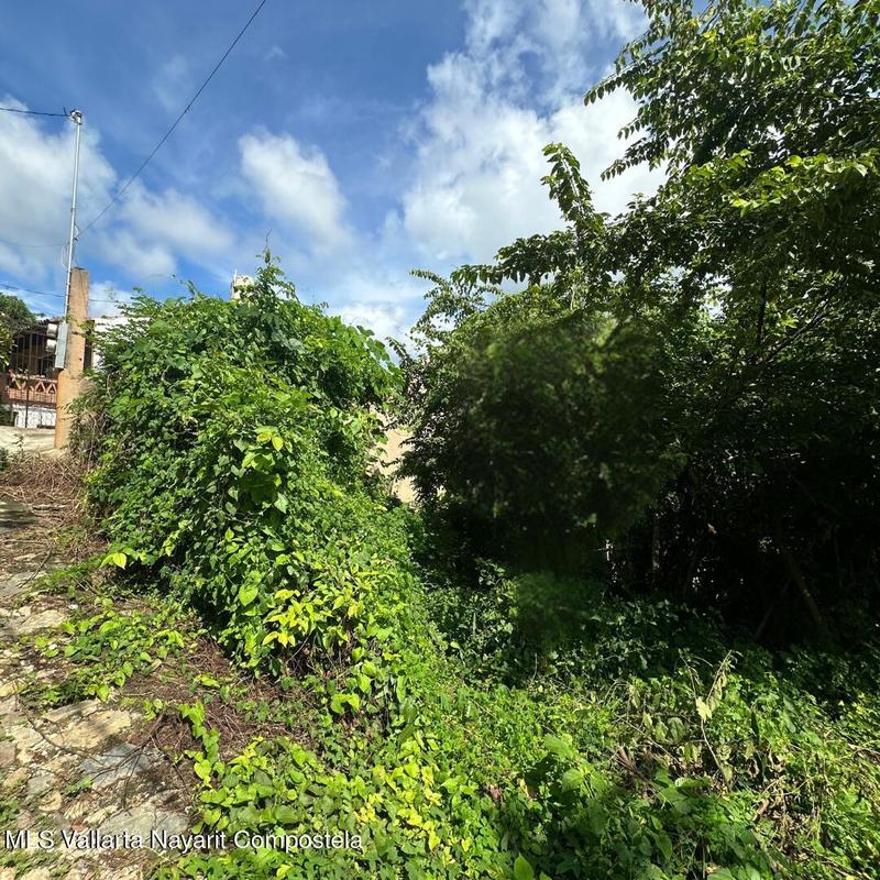 20251017212237074538000000 o