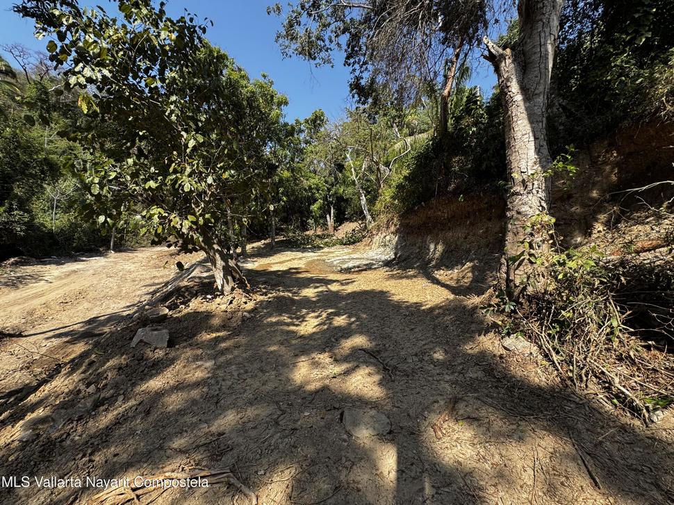 20250626192930836194000000 o