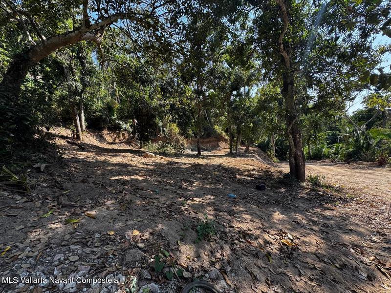 20250626192935230208000000 o